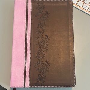 Holman Rainbow Study Bible